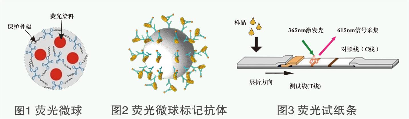 喹乙醇快速檢測(cè)儀/分析儀/測(cè)定儀檢測(cè)原理