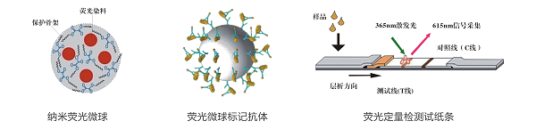 上海飛測(cè)生物藥材中伏馬毒素快速定量檢測(cè)方案--8min準(zhǔn)確定量