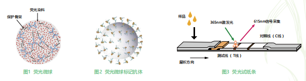 時間分辨熒光納米微球標記技術(shù)