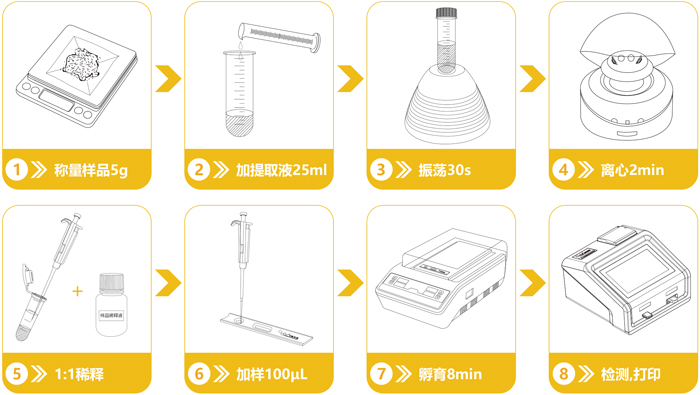 轉(zhuǎn)基因快速檢測(cè)流程