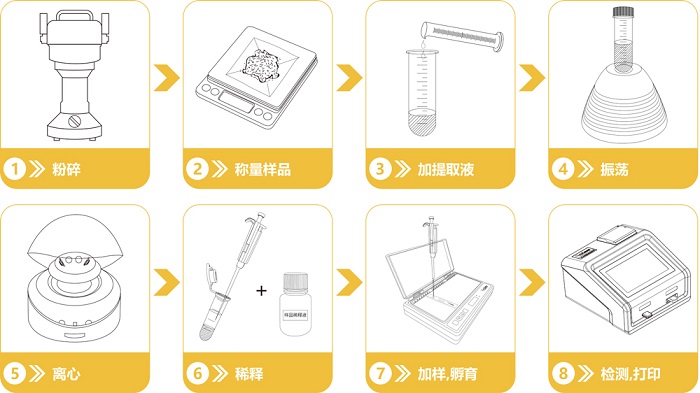 黃曲霉毒素快速檢測(cè)卡操作流程